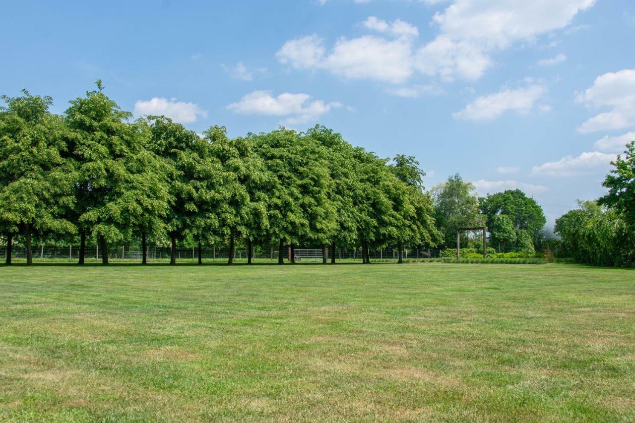 B&B De Grote Kievit Geel Buitenkant foto