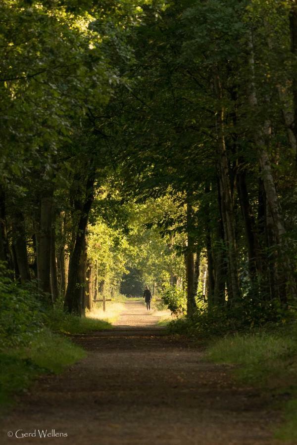 B&B De Grote Kievit Geel Buitenkant foto